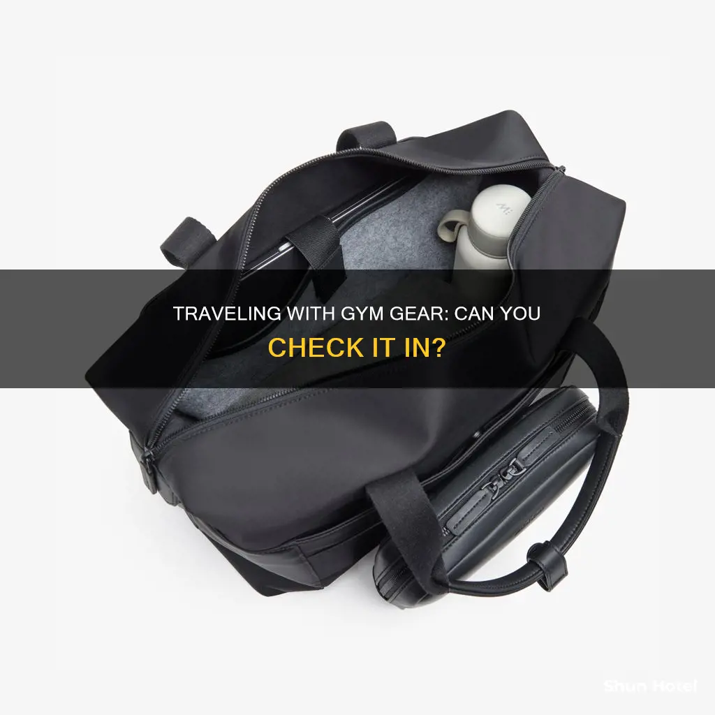 can you check in a gym bag at the airport