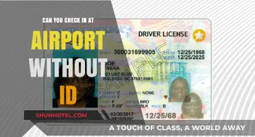 Airports: ID-less Check-Ins Possible?
