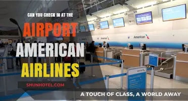 Checking in at the Airport with American Airlines