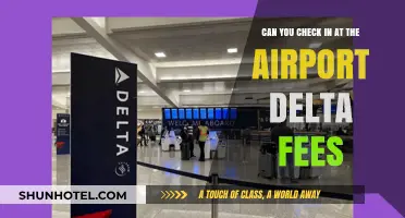 Delta Airport Check-In: What's the Cost?