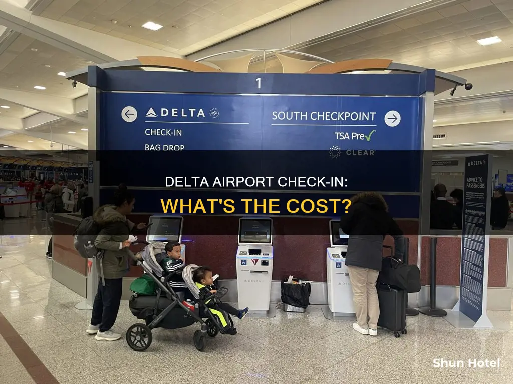 can you check in at the airport delta fees