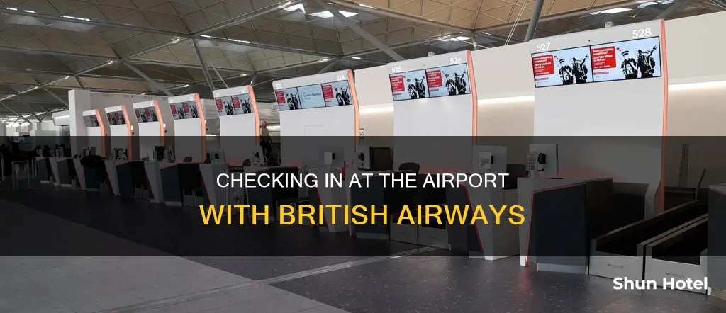 can you check in at the airport with ba