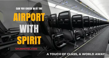 Spirit Airlines: Airport Check-In Options and Procedures