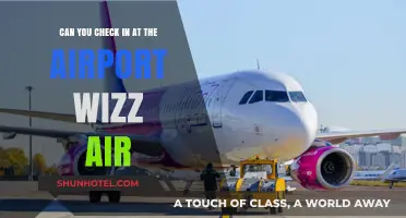 Airport Check-Ins: Wizz Air's Process Explained