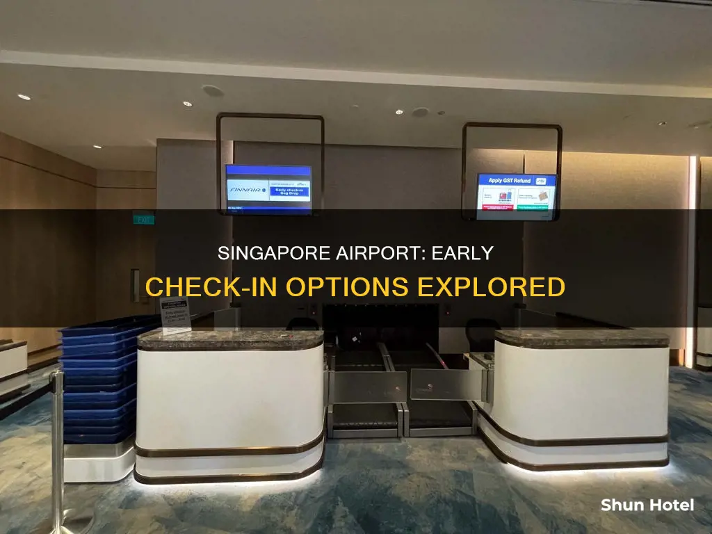 can you check in early at singapore airport