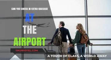 Extra Baggage: Check-In Options at the Airport