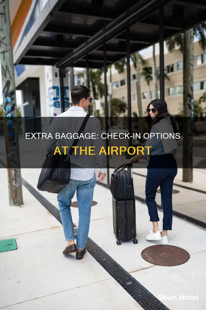 can you check in extra baggage at the airport