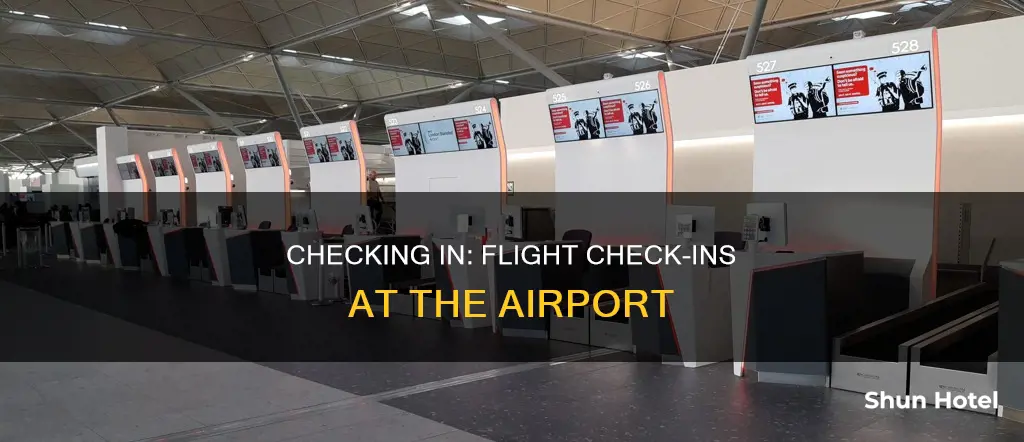 can you check in flight at the airport