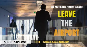 Checking Luggage: Can You Leave the Airport?
