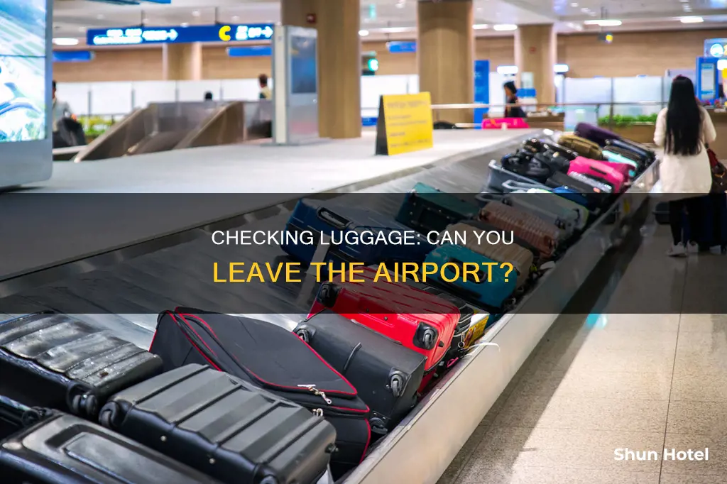 can you check in your luggage and leave the airport