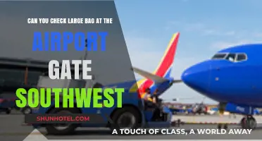 Checking Large Bags at Southwest Gate: What's Allowed?