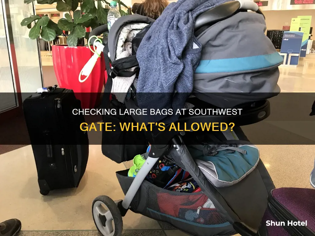 can you check large bag at the airport gate southwest