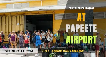 Luggage Check-In: Papeete Airport Essentials