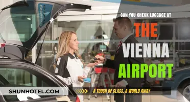 Vienna Airport: Checking Luggage, What You Need to Know