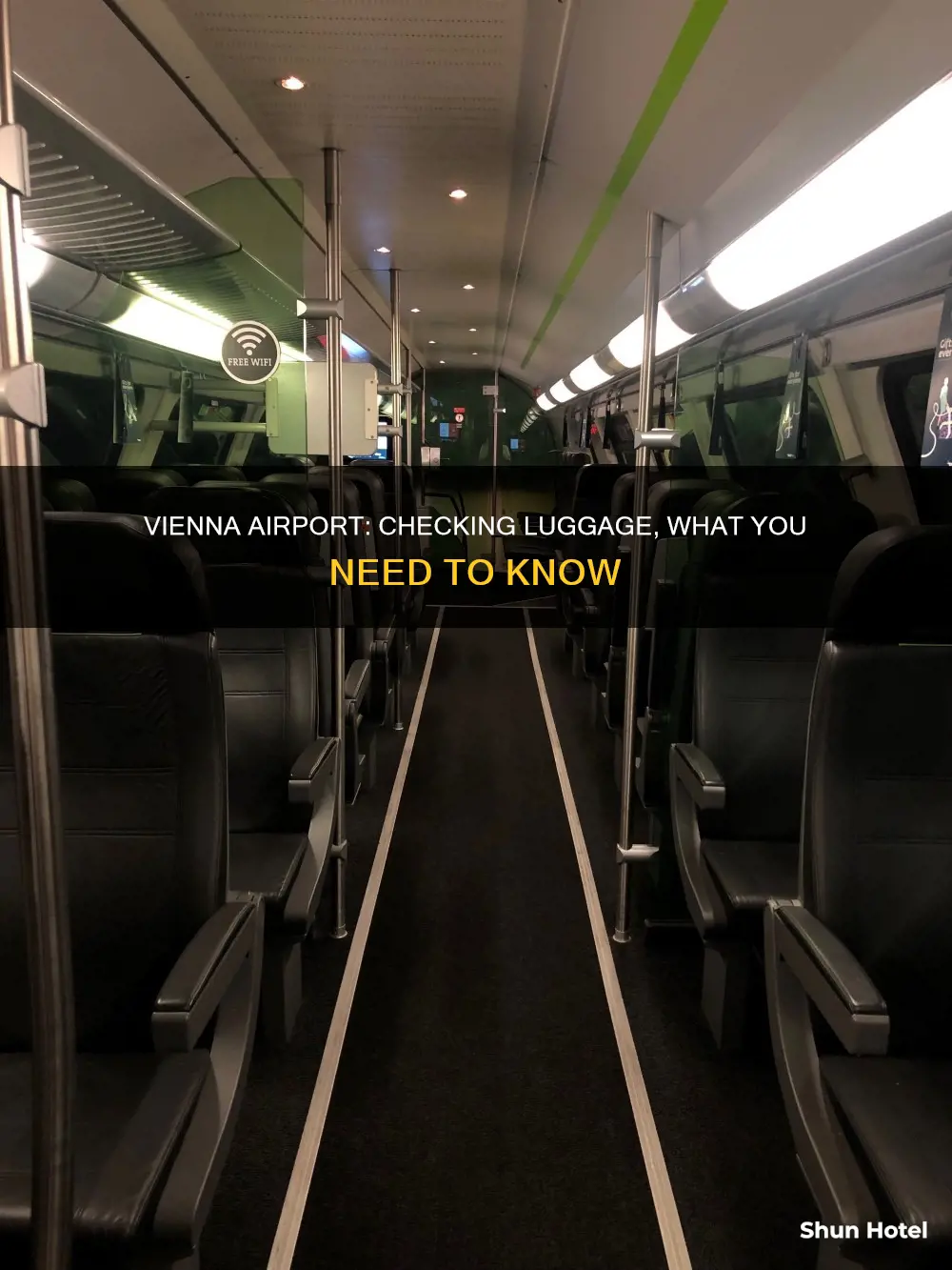 can you check luggage at the vienna airport