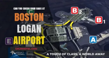 Checking Bags at Boston Logan Airport: What You Need to Know