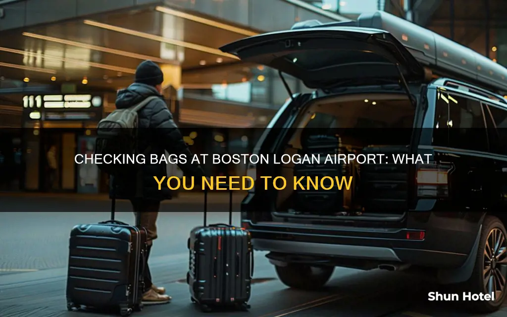 can you check your bags at boston logan airport