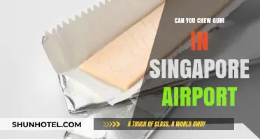 Chewing Gum in Singapore: Airport Rules Explained