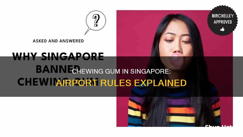 can you chew gum in singapore airport