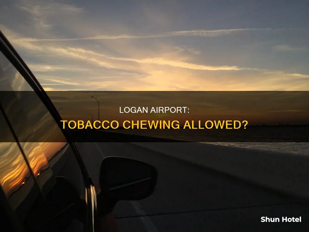 can you chew tobacco at logan international airport