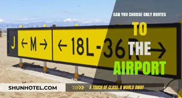 Strategic Airport Routes: Choosing the Best Path