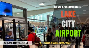 Customs Clearance at Salt Lake City Airport: What to Know