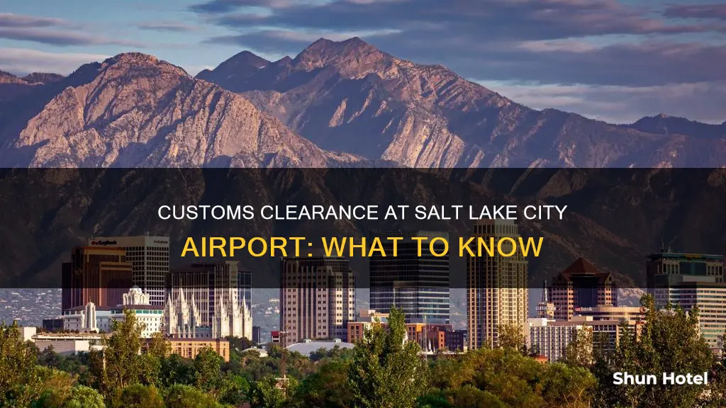can you clear customs in salt lake city airport