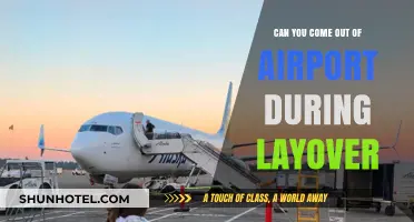 Exploring Airports and Beyond During Layovers