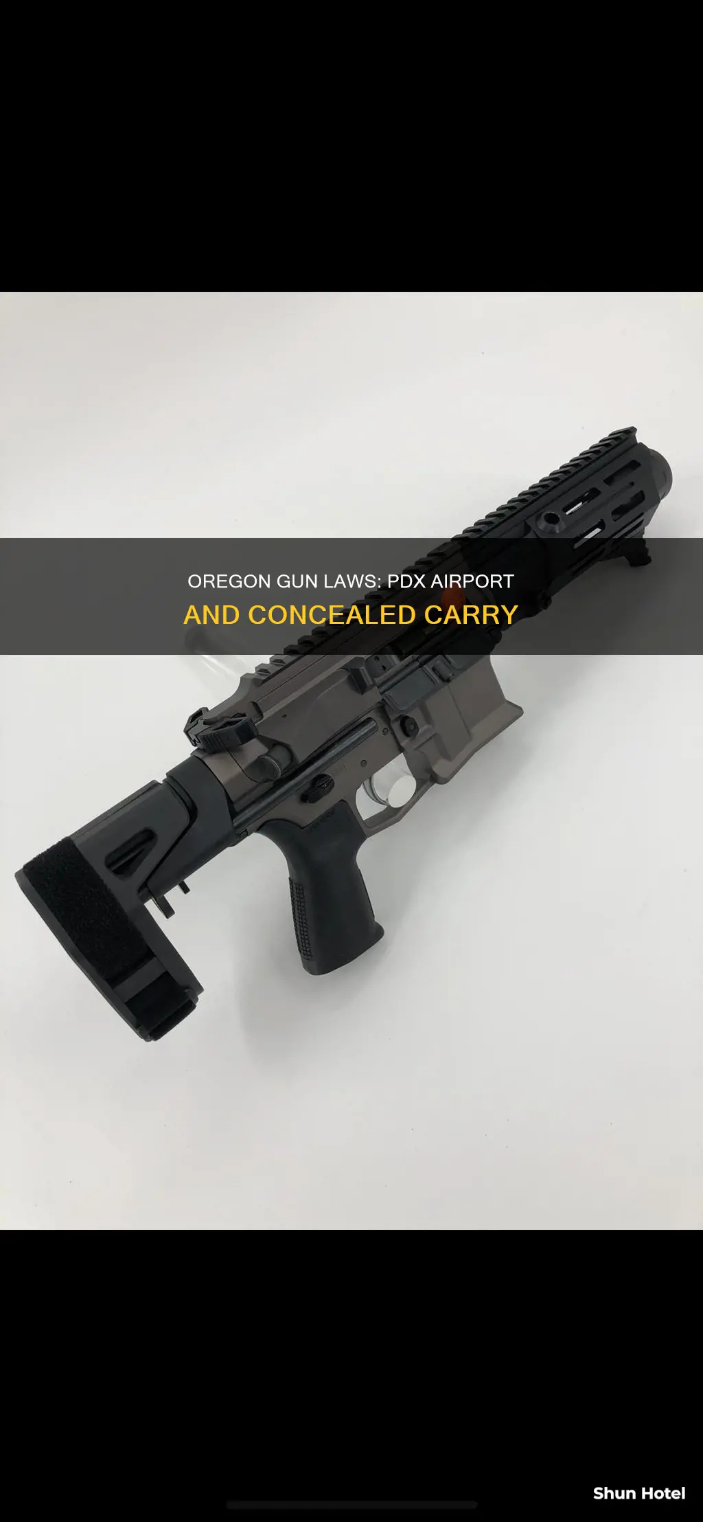 can you conceal carry at pdx airport in oregon