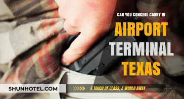 Texas Gun Laws: Carrying Firearms in Airport Terminals