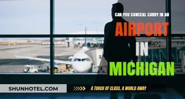 Michigan Airports: Can You Carry Concealed Weapons?