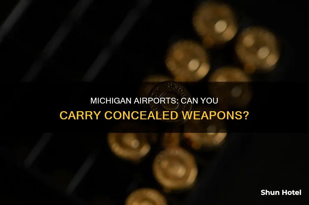 can you conceal carry in an airport in michigan