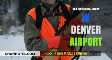 Travelers' Guide: Carrying Firearms at Denver Airport