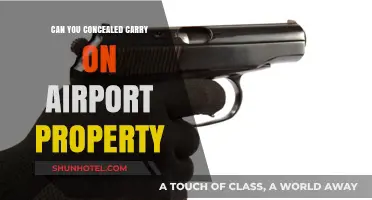 Airport Property and Concealed Carry: What's the Deal?