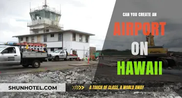 Hawaii's Airport: Can it be Done?