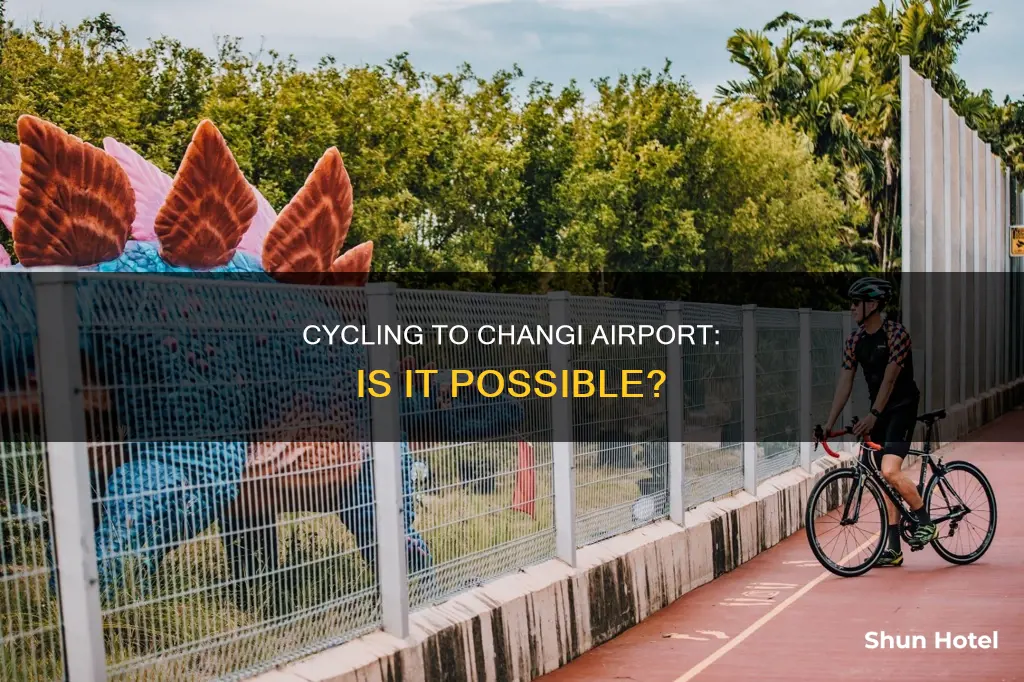 can you cycle to changi airport