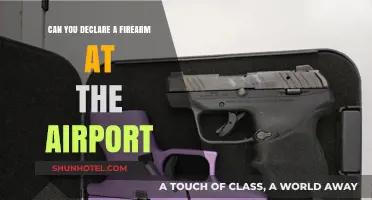 Declare Firearms: Airport Safety and Security