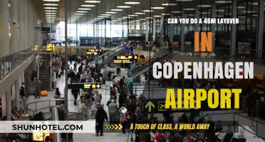 Exploring Copenhagen in a 45-Minute Layover Rush