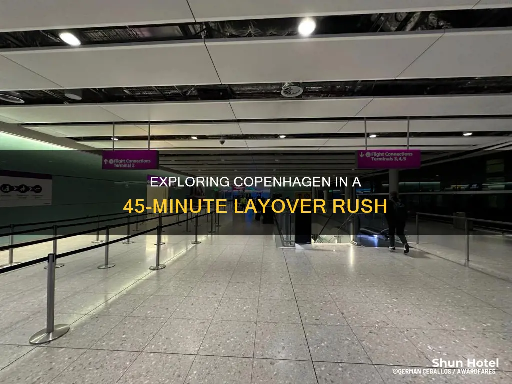 can you do a 45m layover in copenhagen airport