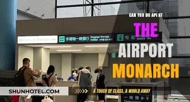API at the Airport: Monarch's Smooth Sailing