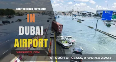 Dubai Airport: Is Tap Water Safe to Drink?