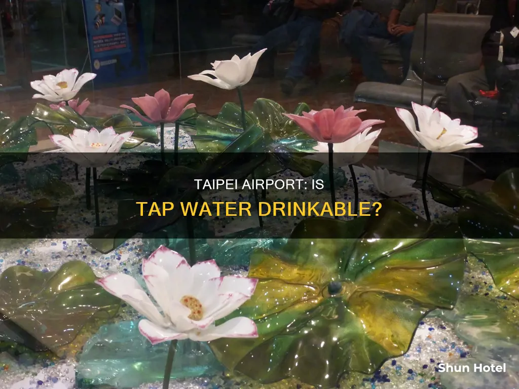 can you drink tap water in taipei airport