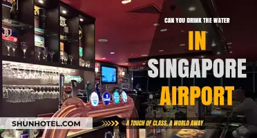 Singapore Airport's Drinking Water: Safe or Not?