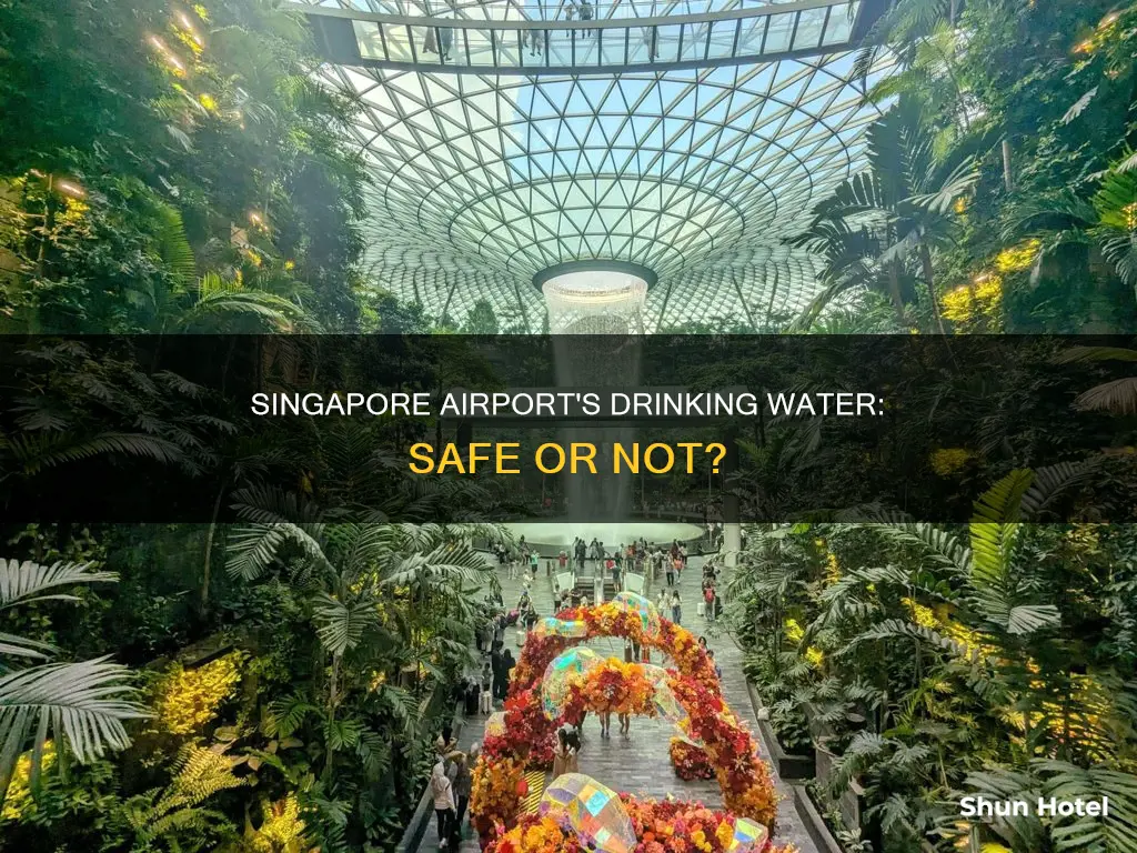 can you drink the water in singapore airport