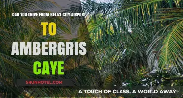 Exploring Belize: Road Trip from City Airport to Ambergris Caye