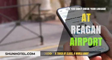 Reagan Airport: Early Check-in for Peace of Mind