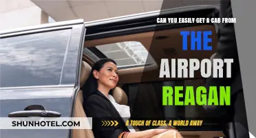 How Accessible Are Cabs at Reagan Airport?