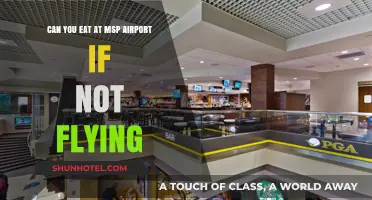 MSP Airport Dining: No Ticket Required