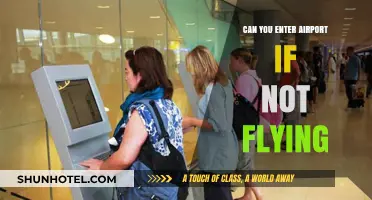 Explore Airports: A Fun Day Out Without Flying