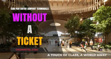 Explore Airport Terminals Without a Ticket